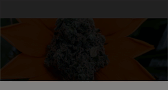 Desktop Screenshot of peterthurley.ca